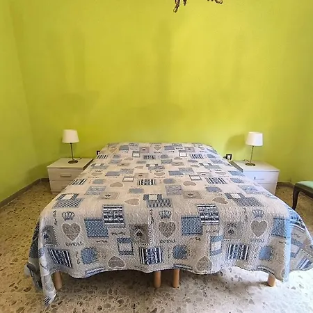 Lc E I 7 Nani Pisa
