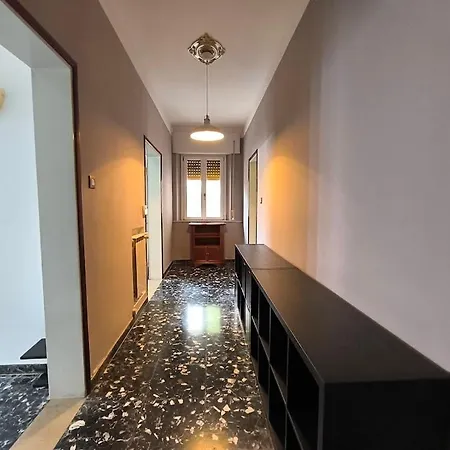 Lc E I 7 Nani * Pisa
